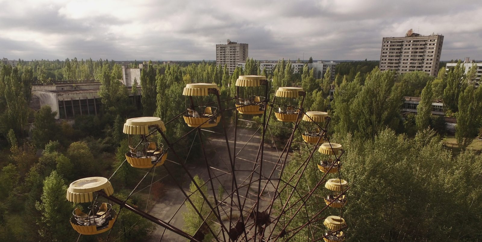 Cernobyl, la rivincita delle piante dopo la catastrofe nucleare